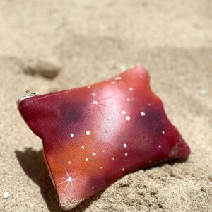 Monedero Cosmic